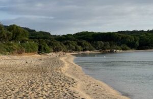 Cannigione, ordigno bellico nella spiaggia di Mannena: artificieri in azione