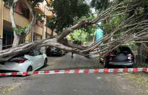 Tragedia sfiorata a Cagliari: albero distrugge auto parcheggiata