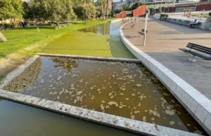 Cagliari, Parco della Musica trascurato: la rabbia dei residenti