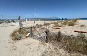 Cagliari, l’area cani del Poetto sarà nuovamente fruibile: ecco quando