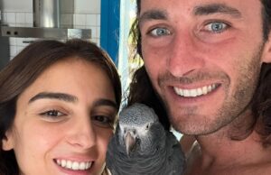 Augello, paura per il suo pappagallo Timmy: ora è a casa sano e salvo