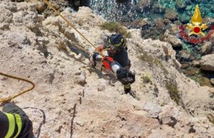 Cabras, un cane precipita da una falesia: i Vigili del fuoco lo salvano