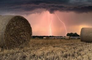 Piogge violente in Sardegna: Alta Marmilla e Barigadu tra i più colpiti