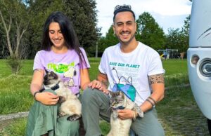 Golfo Aranci, camper in sosta vietata e multa per due influencer: “Modi sgarbati”