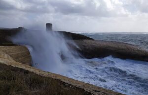 Maltempo e burrasca a Oristano, pali spazzati via e alberi sradicati