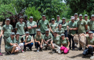 Monte Arcosu, nuovo modello di sviluppo sostenibile nell’Oasi Wwf