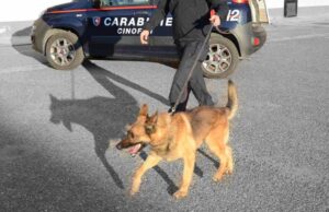 Cagliari, blitz antidroga al porto: cocaina nascosta nel bagnoschiuma