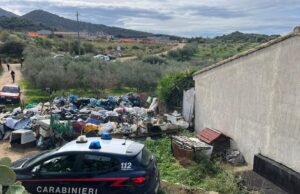 Flumini, sgomberato canile abusivo: oltre 180 cani all’interno