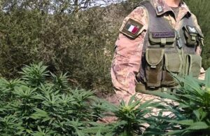 Escalaplano, piante di canapa e 12 mila euro in contanti: 37enne nei guai