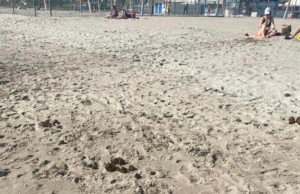 “Dove arriva l’inciviltà?”: escrementi sulla spiaggia del Poetto