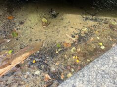 Cagliari, ancora grosse perdite d’acqua in via Belgrano | Video