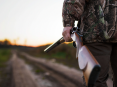 Sardegna, Fdi propone legge per riformare la caccia nell’Isola