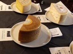 Formaggi sardi tra i migliori d’Italia: l’isola trionfa all’Italian Cheese Awards