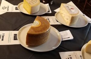 Formaggi sardi tra i migliori d’Italia: l’isola trionfa all’Italian Cheese Awards