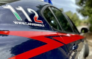 Ilbono, famiglia tutta illegale: in casa con droga, armi clandestine e fauna protetta