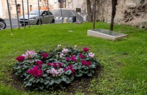 Cagliari in fiore, sistemate le aiuole cittadine con oltre 2mila piante