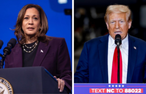 Harris o Trump? Le elezioni americane viste da un sardo a Los Angeles