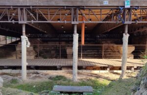 Basilica S. Saturnino, lavori ripresi dopo la scoperta medievale