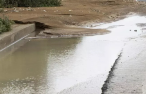 Danni da maltempo: Confragricoltura plaude intervento della Regione