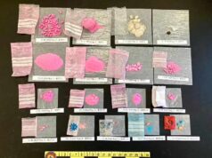 Fiumi di droga tra Cagliari e Oristano, un 38enne a capo della banda | Video