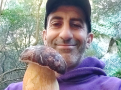 Autunno “povero” di grandi porcini: piccoli esemplari a Monte Arci