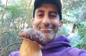 Autunno “povero” di grandi porcini: piccoli esemplari a Monte Arci