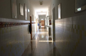 Cagliari, a scuola ci sono le blatte: chiusa la “Ada Negri”