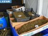 Blitz nell’oristanese: marjiuana, eroina e cocaina. 6 persone nei guai