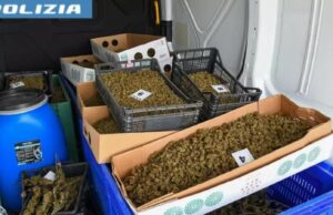 Blitz nell’oristanese: marjiuana, eroina e cocaina. 6 persone nei guai