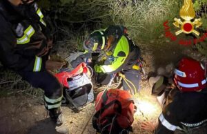 Alghero, cane da caccia scivola in un dirupo: salvato dai Vigili del fuoco