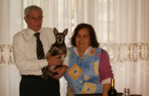 Omicidio Via Ghibli, altra ipotesi: veleno mischiato ai medicinali