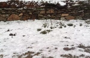 Il freddo porta altra neve in Sardegna: Seulo e Sadali imbiancate