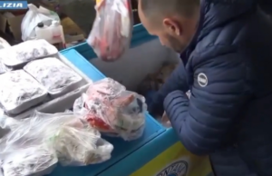 Oristano, pesce rubato e in cattivo stato: arrestati quattro uomini