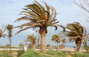 La Sardegna dice addio all’estate: arriva il calo delle temperature