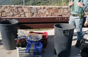 La Marinedda, multa per pescatori abusivi con 1000 ricci di mare