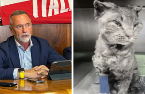 Gatto Tigro, Ugo Cappellacci: “So chi lo ha ucciso, costituisciti”