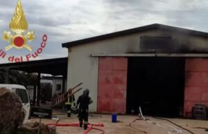 Paura nella Nurra, rogo in un’azienda vitivinicola: distrutto magazzino