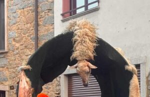 Carnevale Ovodda, Rizzi: “Vergogna, Prefetto Nuoro si dimetta”