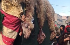 Carnevale Ovodda, prosegue la protesta degli animalisti