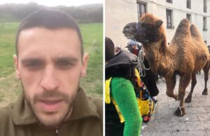 Ovodda, giovane allevatore risponde a Rizzi: “Cammello? L’ho salvato”