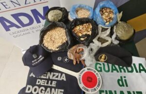 Olbia, cibo mal conservato: sequestrati circa 2 quintali di merce