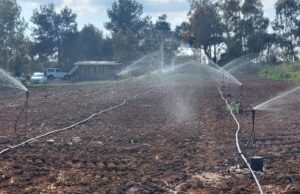 Rete idrica, il Centro Studi Agricoli attacca: “Troppi sprechi, Regione intervenga”