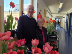 Cagliari, il Businco si colora con i tulipani: la bella iniziativa