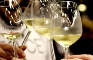 Stati Uniti, dazi pericolosi per la Sardegna: a rischio export vini