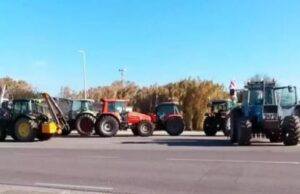 Protesta dei pastori, venerdì trattori e auto sino a Terralba