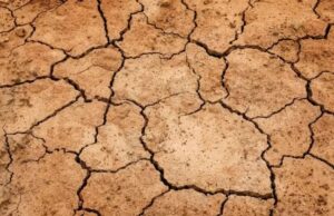 Siccità in Sardegna, preoccupa la situazione nella Nurra