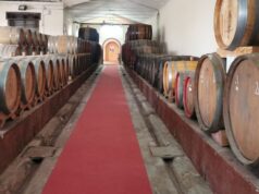 Trionfo sardo a Vinitaly: la Cantina del Rimedio è la migliore del 2025