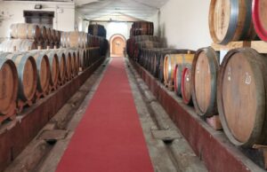 Trionfo sardo a Vinitaly: la Cantina del Rimedio è la migliore del 2025