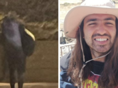 Un giovane avvistato ad Aglientu: è lo scomparso Michael Frison?