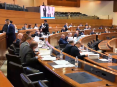 Fibromialgia, in Sardegna circa 10mila pazienti: FdI propone legge ad hoc